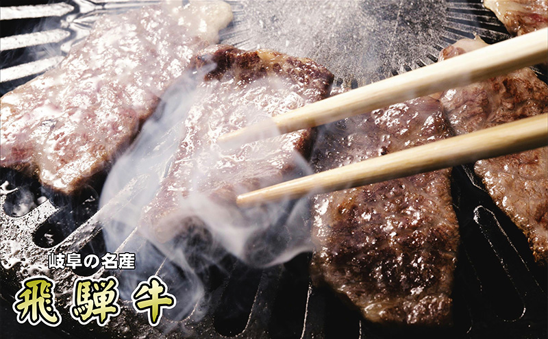 岐阜県池田町のふるさと納税 【セゾン限定】 牛肉 飛騨牛 焼肉 希少部位 三角バラ 300ｇ 黒毛和牛 Ａ5 美味しい お肉 牛 肉 和牛 焼き肉 BBQ バーベキュー 【岐阜県池田町】