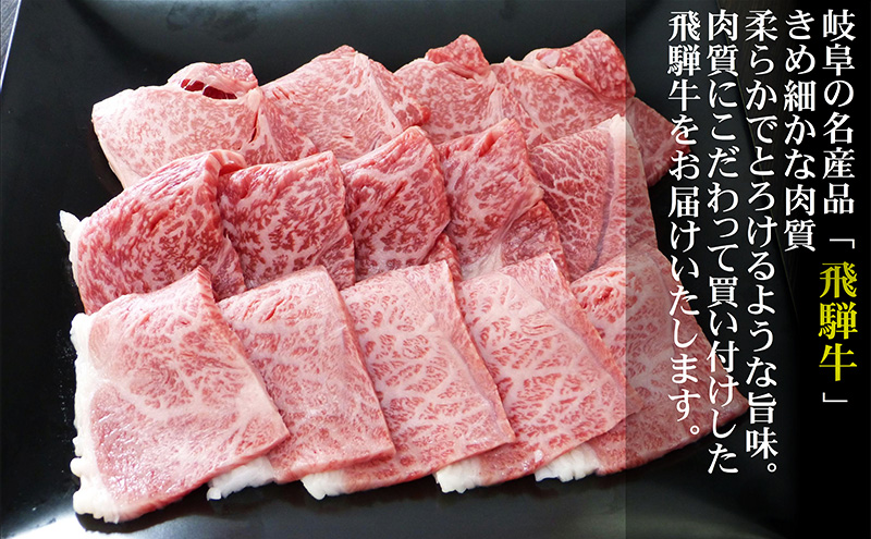 牛肉 飛騨牛 焼き肉 セット 赤身 モモ 又は カタ 300ｇ 黒毛和牛 Ａ5 美味しい お肉 牛 肉 和牛 焼肉 BBQ バーベキュー  【岐阜県池田町】（岐阜県池田町） | ふるさと納税サイト「ふるさとプレミアム」