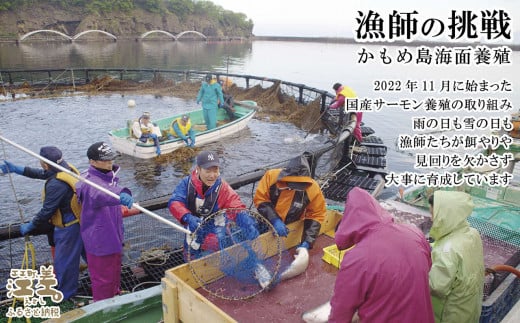 北海道江差町のふるさと納税 北海道産 スモークサーモンと切り身セット ［スモーク100g（50g×2P）&切り身60g×3切れ（個包装）／化粧箱］　江差産トラウトサーモン　燻製　国産　王子サーモン　個包装　のし対応可　贈答用　ギフト　お中元　お歳暮　お祝い