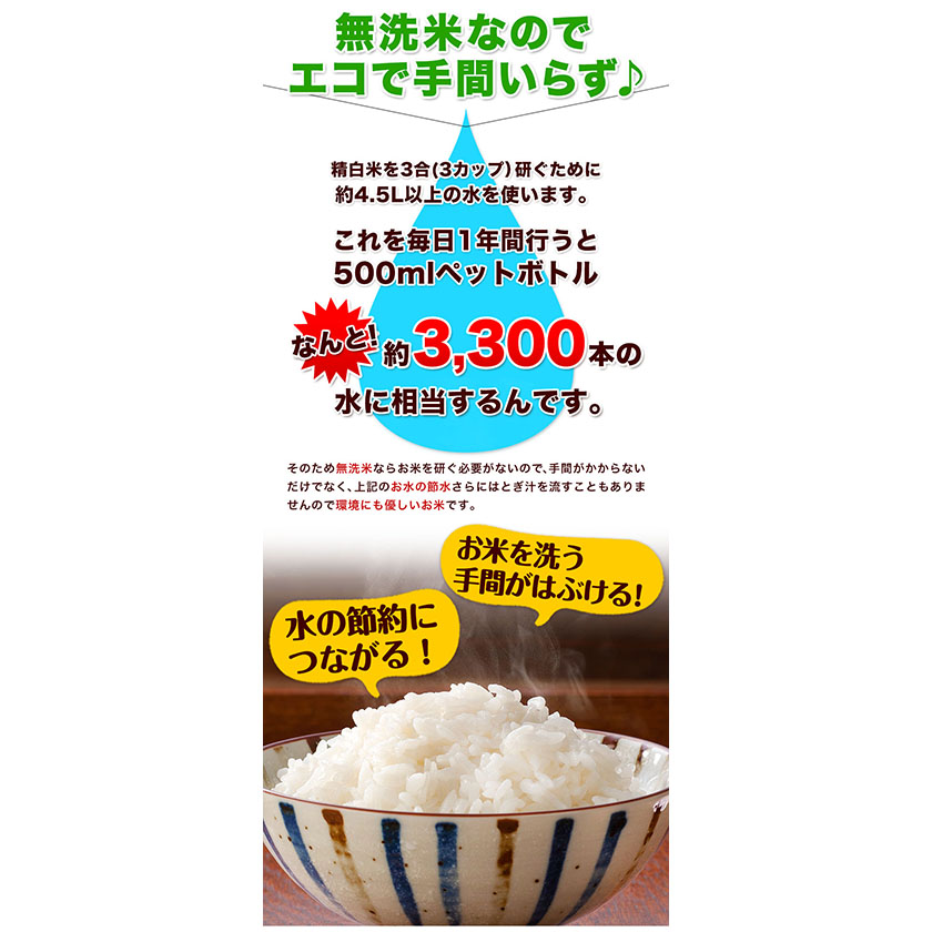 熊本県御船町のふるさと納税 無洗米 早期先行予約受付中 訳あり 家庭用 熊本ふるさと 無洗 米 選べる内容量 5kg 10kg 12kg 15kg 18kg 20kg 無洗米 米 コメ 熊本県産《10月-11月より出荷予定》 洗わず コロナ おうちご飯 お米 おこめ 送料無料 熊本 御船 ライス SDGs ふるさと無洗米