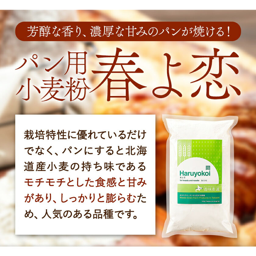 北海道十勝 醗酵食品「味噌三昧セットＡ」5品目お届け（味噌4種と醤油
