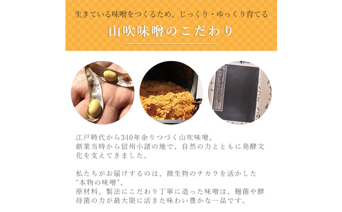 長野県小諸市のふるさと納税 味噌 山吹味噌 コクとかおり 500g×6 セット 信州味噌 みそ ミソ 熟成 信州 信州みそ 無添加  調味料 小分け 長野県 長野