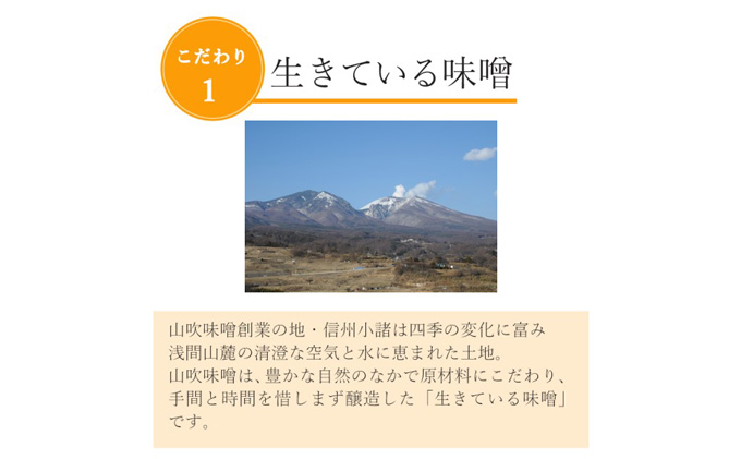 長野県小諸市のふるさと納税 味噌 山吹味噌 コクとかおり 500g×6 セット 信州味噌 みそ ミソ 熟成 信州 信州みそ 無添加  調味料 小分け 長野県 長野