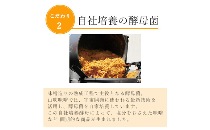 長野県小諸市のふるさと納税 味噌 山吹味噌 コクとかおり 500g×6 セット 信州味噌 みそ ミソ 熟成 信州 信州みそ 無添加  調味料 小分け 長野県 長野