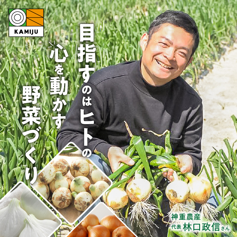 愛知県碧南市のふるさと納税 【数量限定】訳あり 新玉ねぎ　生がおいしい 神重農産のブランド玉ねぎ「旬玉」3kg　H105-114