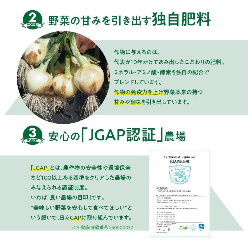 愛知県碧南市のふるさと納税 【数量限定】訳あり 新玉ねぎ 生がおいしい 神重農産のブランド玉ねぎ「旬玉」2.5kg ブランド玉ねぎ 玉ねぎ 国産 愛知県産 野菜 やさい 農家直送 畑直送 旬 期間限定 たまねぎ 先行予約 旬 特産 高評価 高リピート 人気 H105-152