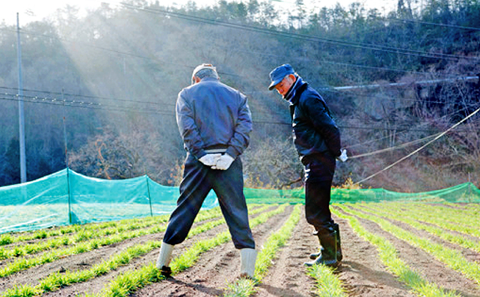 岡山県高梁市のふるさと納税 もち麦 キラリモチ 200g パック 3個 セット岡山 高梁市 宇治町産 米