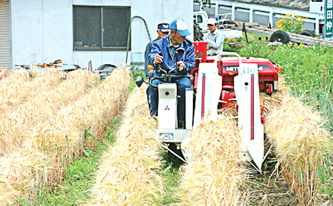 岡山県高梁市のふるさと納税 もち麦 キラリモチ 200g パック 3個 セット岡山 高梁市 宇治町産 米