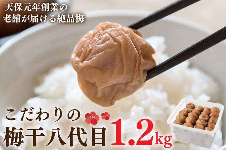 y錧z̔~ 1.2kg 썂~ Y  ̂Ȃ V ` Y   ~ ~ ~ ߂ڂ 