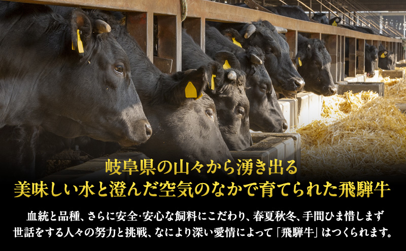 牛肉 飛騨牛 焼肉 希少部位 三角バラ 300g 黒毛和牛 A5 美味しい お肉 牛 肉 和牛 焼き肉 BBQ バーベキュー 【岐阜県瑞穂市】 /  岐阜県瑞穂市 | セゾンのふるさと納税