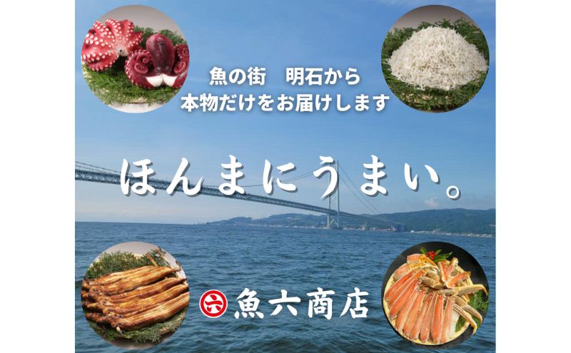 兵庫県明石市のふるさと納税 ほんまにうまい 釜あげ明石だこ 大 1尾 たこ 海鮮