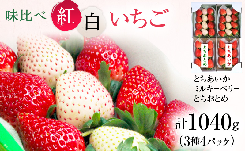 味くらべ紅白いちご 3種 4パック （11月下旬～12月中旬発送）  いちご 果物 フルーツ 苺 イチゴ くだもの とちあいか ミルキーベリー とちおとめ 朝取り 新鮮 美味しい 甘い