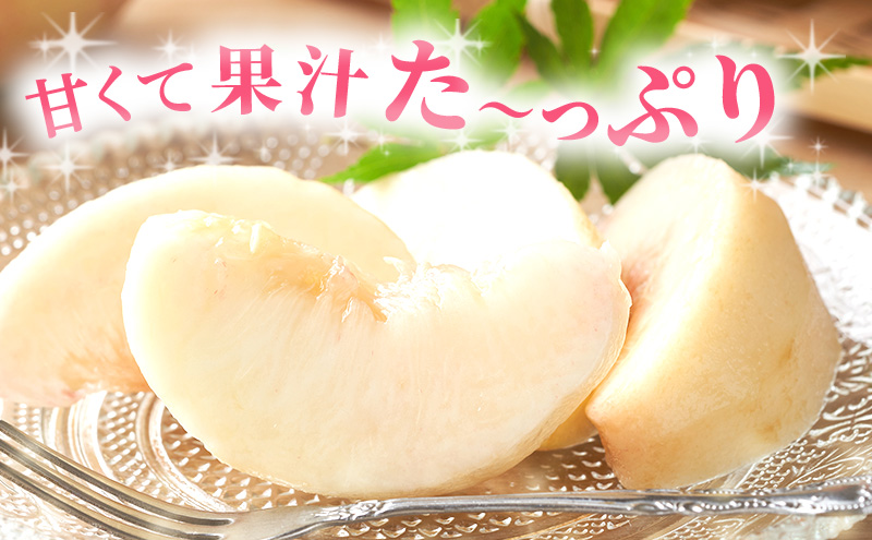 2025年先行予約】 桃 岡山県産 白鳳 （ 白桃 ）約1.2kg(4～5玉