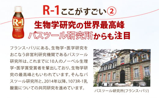 茨城県守谷市のふるさと納税 R-1ドリンク砂糖不使用 36本