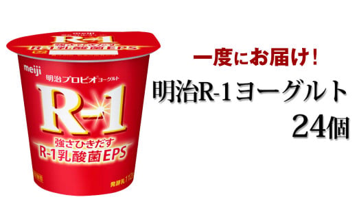 y錧Jsz R-1[Og 24Zbg 112g