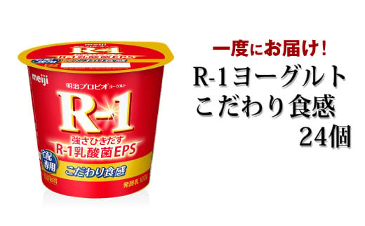 y錧JszR-1[OgH 24