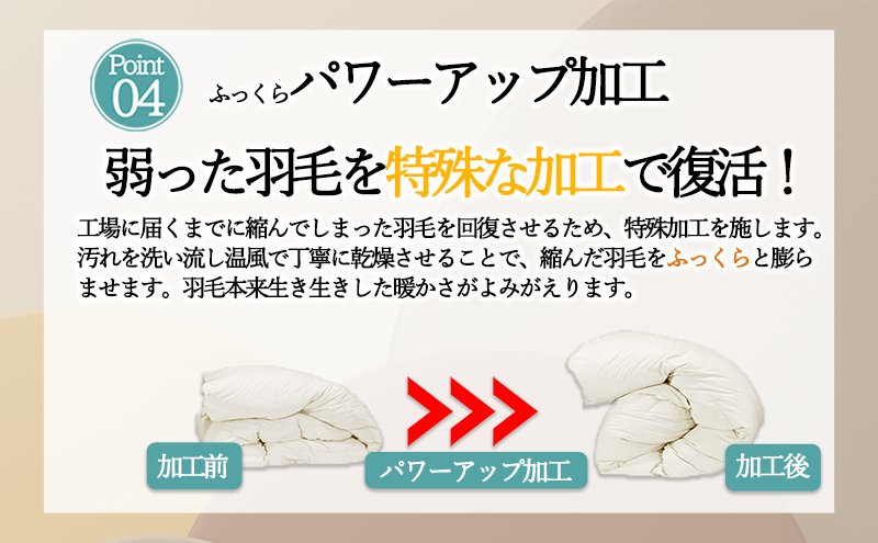 奈良県王寺町のふるさと納税 【５色展開】洗える羽毛合い掛け布団シングルダウン90％350dp北欧デザイン羽毛1.2kg洗濯可羽毛布団