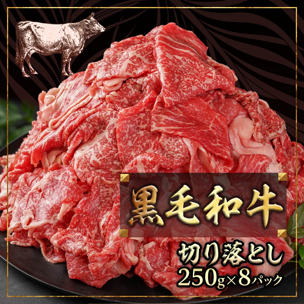 宮崎県都城市のふるさと納税 【黒毛和牛】切り落とし2kg(250g×8パック)_AC-I903