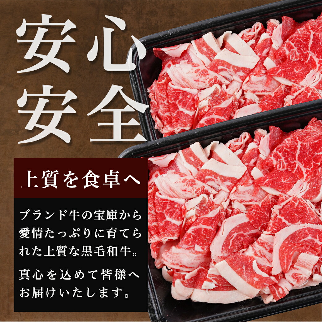 宮崎県都城市のふるさと納税 【黒毛和牛】切り落とし2kg(250g×8パック)_AC-I903