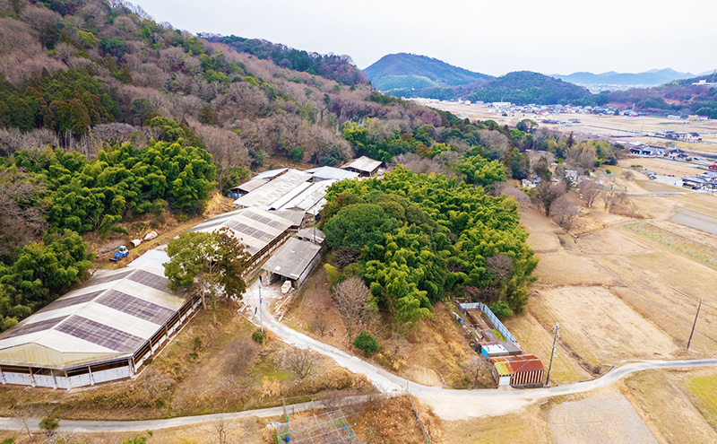 兵庫県赤穂市のふるさと納税 神戸牛 サーロイン、ランプ 、イチボ  厚切り ハーフカット ステーキ 食べ比べ セット( サーロイン 130g ランプ 100g イチボ 100g )ステーキ 肉 和牛 食べ比べ【 赤穂市 】