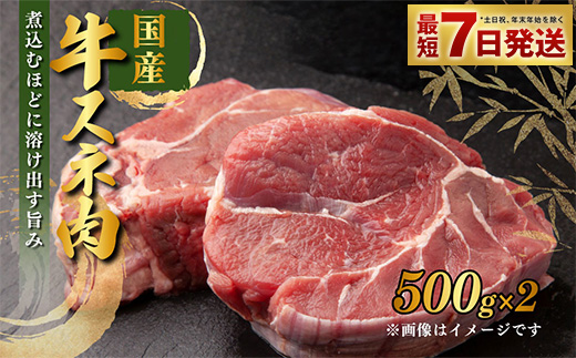 【茨城県守谷市】国産 牛スネ肉 500g×2 合計1kg 小分け 茨城県産 カレー シチュー 煮込み料理 冷凍