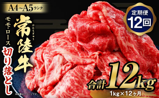【茨城県守谷市】【定期便 12ヶ月】【常陸牛】切り落とし1kg