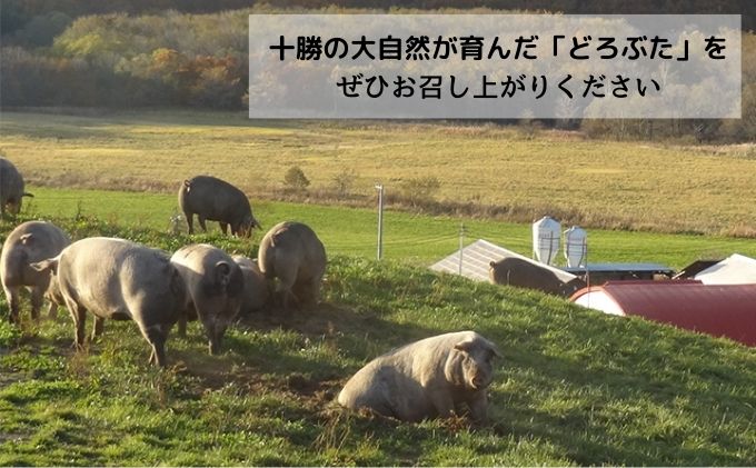 十勝幕別エルパソ牧場オリジナルブランド豚「どろぶた」加工品詰合せA|株式会社エルパソ