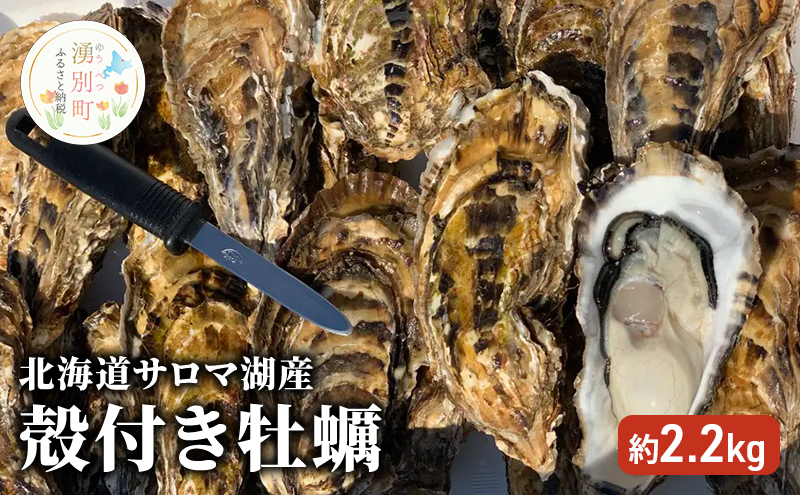 北海道 サロマ湖産 殻付き 牡蠣 約2.2kg かき カキ 海鮮 魚介 国産 貝付き 生食 焼き牡蠣 蒸し牡蠣 冷蔵 産地直送 オホーツク