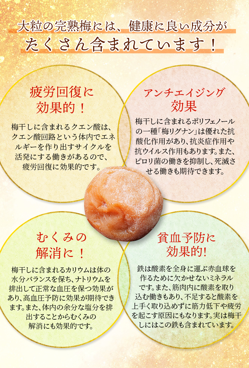 三重県紀宝町のふるさと納税 訳あり品 数量限定 完熟南高梅使用梅干し1.25kg 2L～4L / 梅 梅干し 梅干 訳あり わけあり ワケアリ 昔ながら まろやか 無添加 塩分濃度約20％ 無添加人気 大容量  大粒 肉 厚 お米 おにぎり 焼酎 梅酒 自家栽培 健康