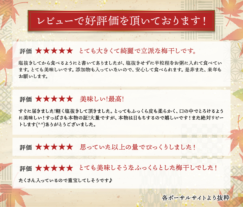 三重県紀宝町のふるさと納税 訳あり品 数量限定 完熟南高梅使用梅干し1.25kg 2L～4L / 梅 梅干し 梅干 訳あり わけあり ワケアリ 昔ながら まろやか 無添加 塩分濃度約20％ 無添加人気 大容量  大粒 肉 厚 お米 おにぎり 焼酎 梅酒 自家栽培 健康