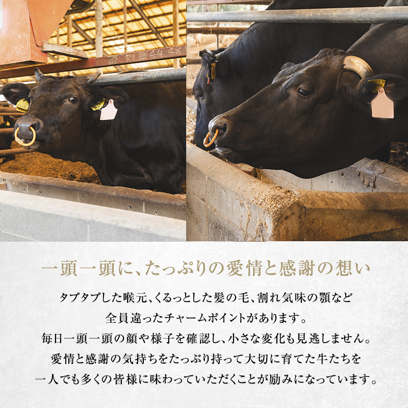 滋賀県豊郷町のふるさと納税 近江牛 焼肉 中上赤身焼肉用 約600g A5 雌牛 西川畜産 牛肉 黒毛和牛 焼き肉 焼肉用 バーベキュー 赤身 肉 お肉 牛 和牛