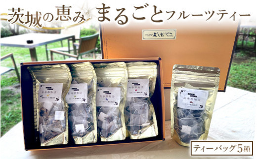 【茨城県守谷市】茨城の恵みまるごと フルーツ ティー (ティーバッグ5種)