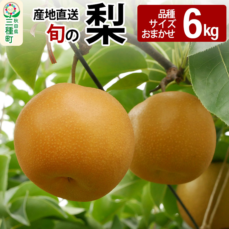 《先行受付》今が旬！ 梨 6kg 【品種、