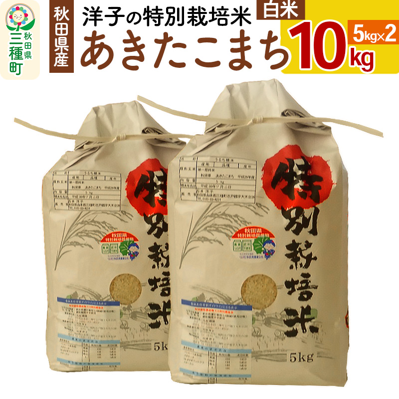 ふるさと納税 令和5年産 あきたこまち 精米 単一原料米 10kg（5kg×2袋