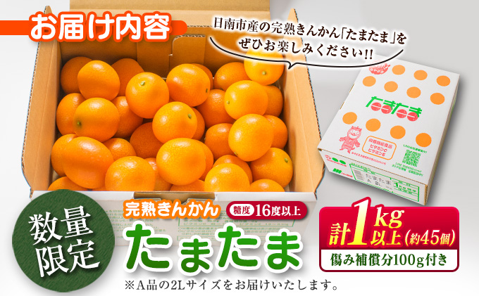 宮崎県日南市のふるさと納税 糖度16度以上 数量限定 完熟 きんかん たまたま 計1kg以上 傷み補償分付き フルーツ 果物 期間限定 ブランド 金柑 柑橘 国産 食品 人気 おすすめ A品 産地直送 ギフト 贈り物 贈答 プレゼント ご褒美 おすそ分け デザート 宮崎県 日南市 送料無料_B215-23