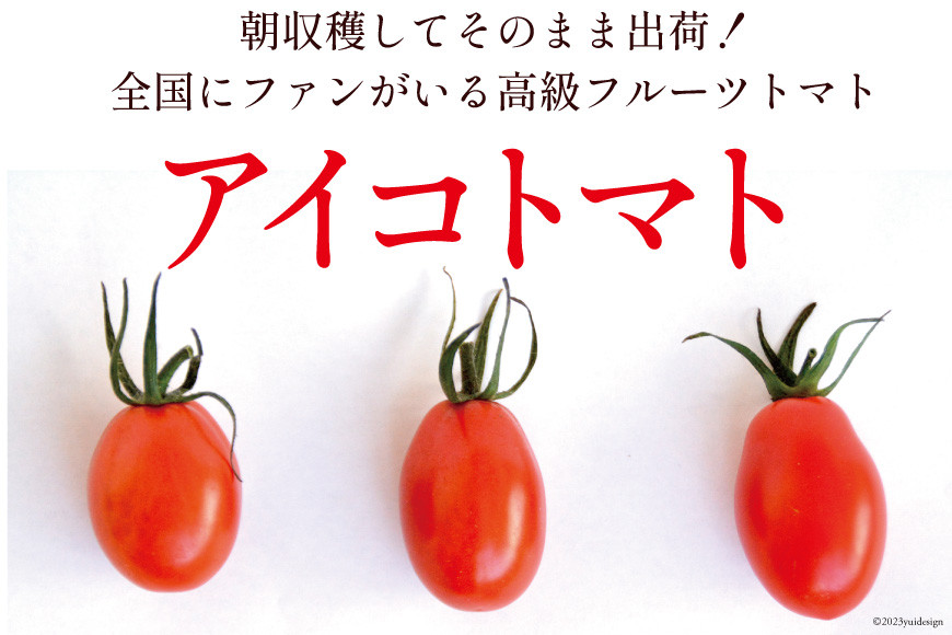 長崎県島原市のふるさと納税 AF014 全国にファンがいる高級フルーツトマト たっぷり！アイコ 1kg