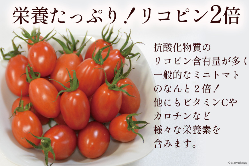 たっぷり！アイコ　1kg　長崎県島原市　セゾンのふるさと納税　AF014　全国にファンがいる高級フルーツトマト