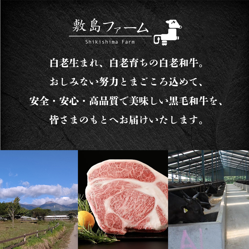 北海道白老町のふるさと納税 北海道産白老和牛　とろける舌触りの和牛フレーク