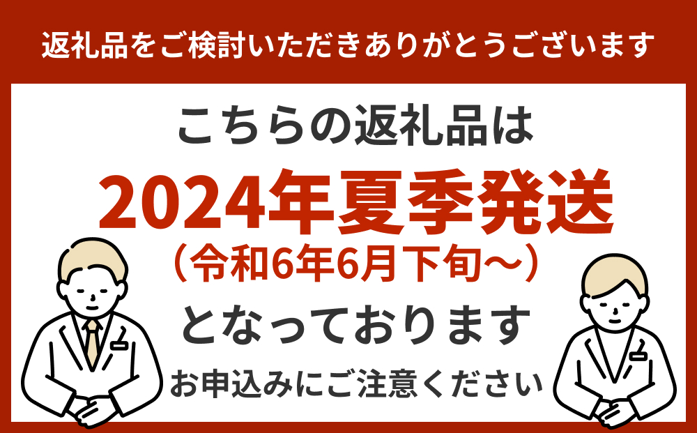 ふるさと納税 沖縄県 うるま市 有機栽培で安心・安全「たいようの