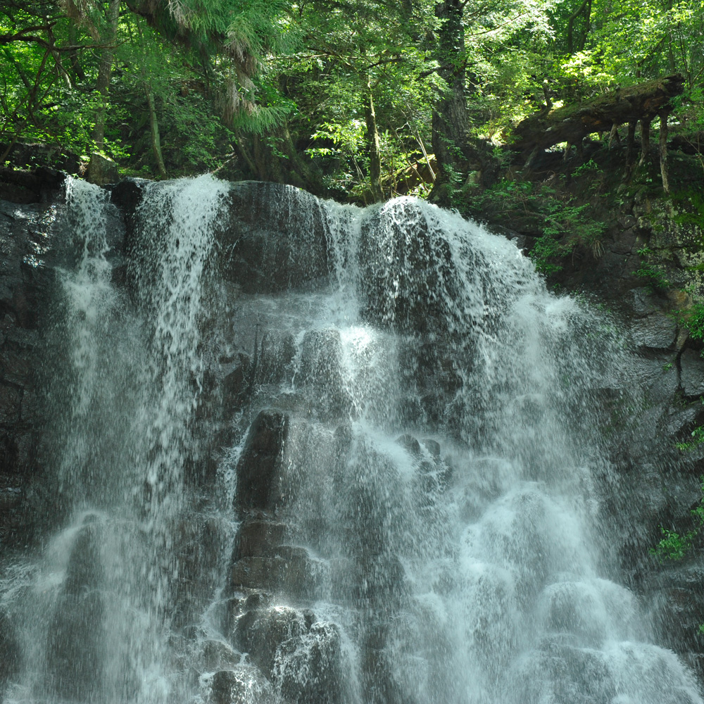 肌をうるおす 保湿スキンケアセット FAJ023 / 山梨県富士河口湖町