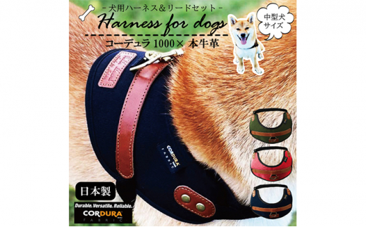 【茨城県守谷市】【中型犬用】ハーネス コーデュラ×本牛革(ネイビー×ブラウン革)◇