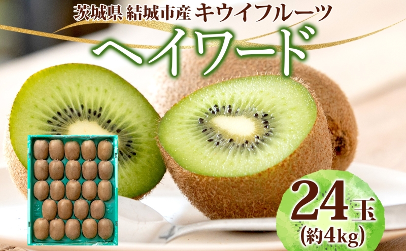 <12月中旬発送> キウイフルーツ 結城市産 ヘイワード 約4kg 24玉 キウイ きうい グリーンキウイ 果物 フルーツ 新鮮 国産 産地直送 採れたて ギフト 贈答 数量限定 期間限定 松本果樹園 茨城県 結城市