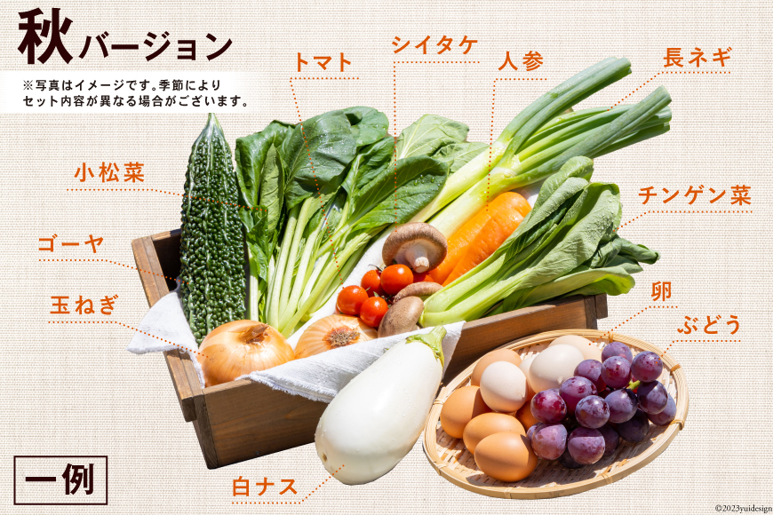 AA025野菜・フルーツ・卵　旬のお任せ　セゾンのふるさと納税　Aセット　長崎県島原市