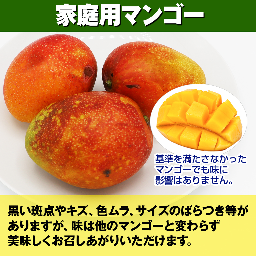 沖縄県南風原町のふるさと納税 【2025年発送】芳醇な香り　とろける食感　家庭用マンゴー1.5kg