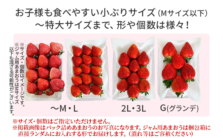 福岡県産 博多あまおう L〜2L 1パック約270g 8パック - 果物