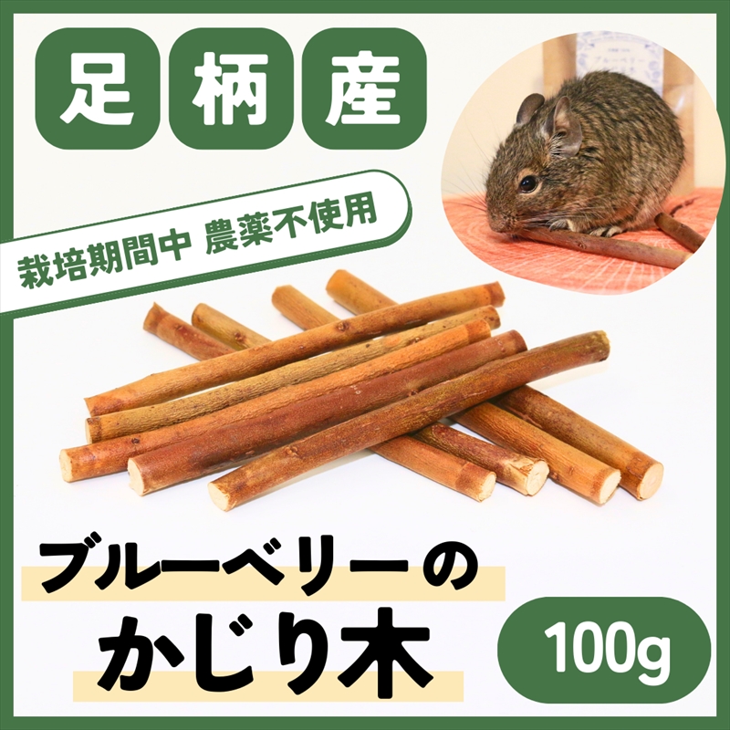 神奈川県南足柄市のふるさと納税 【小動物ペットに】足柄産ブルーベリーのかじり木100g【 ペット 神奈川県 南足柄市 】