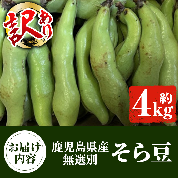 鹿児島県阿久根市のふるさと納税 ＜先行予約受付中！2025年4月上旬以降発送予定＞＜訳あり＞鹿児島県産 そら豆(約4kg) 国産 野菜 そら豆 ソラマメ おつまみ サラダ 炒め物 訳アリ サイズ混合 ソラ豆 鞘つき さやつき【松永青果】a-12-287-z