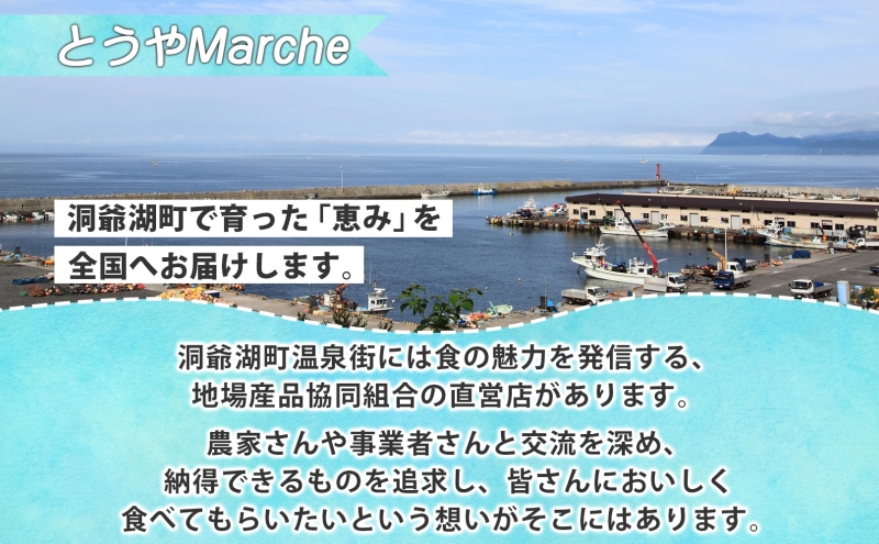 北海道洞爺湖町のふるさと納税 北海道産 活ほたて 2年貝 約 2kg 15枚～22枚 2025年1月中旬～2月上旬頃お届け 殻付き 貝付き 帆立 ホタテ ほたて 貝 魚介 海産 海鮮 貝柱 噴火湾 刺身 焼き フライ 生産者支援 産地直送 送料無料