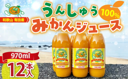 ya̎RLcS󒬁zZJ6061_a̎RLcY100% 񂵂イ݂W[X 970ml × 12{Zbg