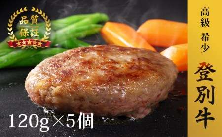【北海道登別市】登別牛100%使用ハンバーグ 120g×5個